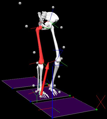 coloredrightthigh.jpg