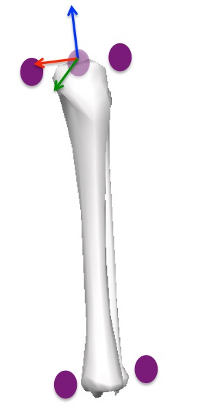 ppt_segmentcoordinatesystem.jpg