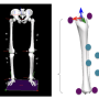 anatomical_vs_tracking_markers.png